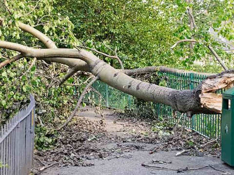 Schade voorkomen: tips om je voor te bereiden op storm