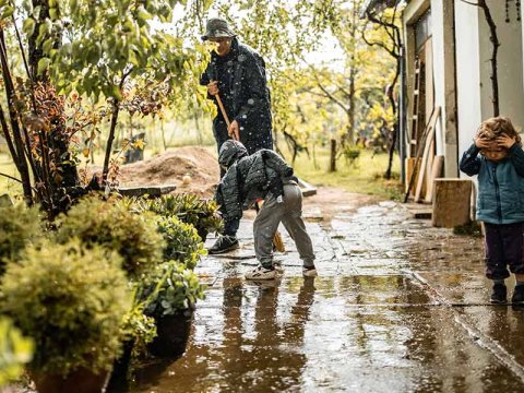 Stormschade tuin: wat is verzekerd?