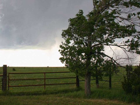 Stormschade aan je schutting, wat nu?