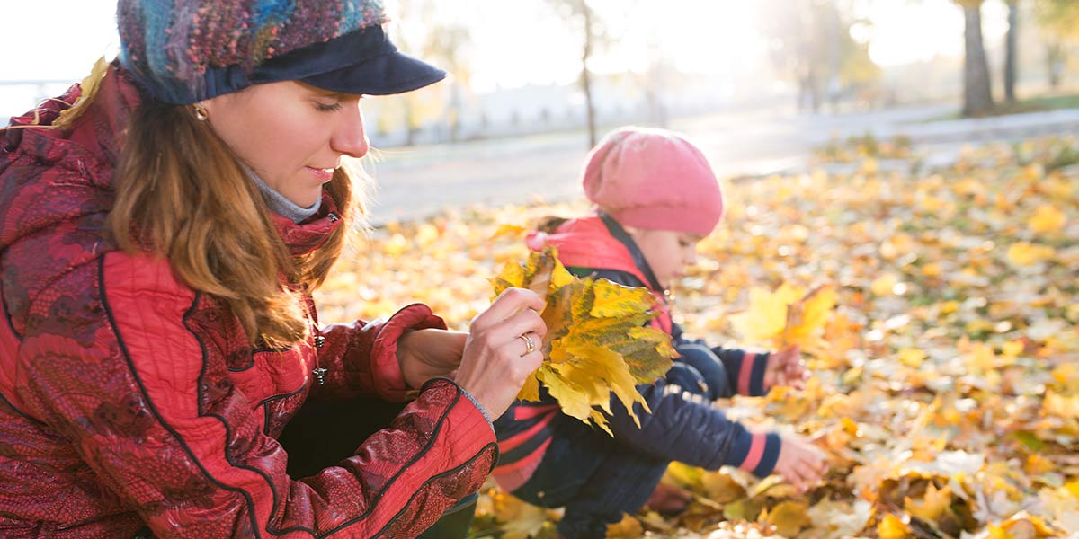 Hero image voor artikel:  Je tuin winterklaar maken: zo doe je dat
