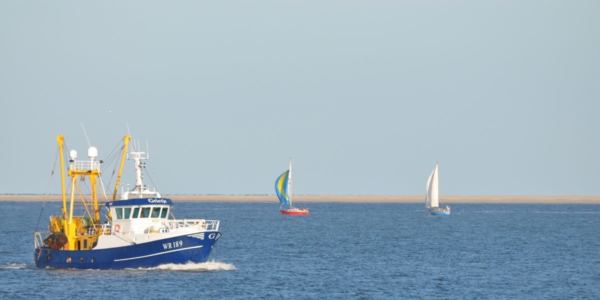 Hero image voor artikel:  Wat te doen bij een aanvaring met andere boot