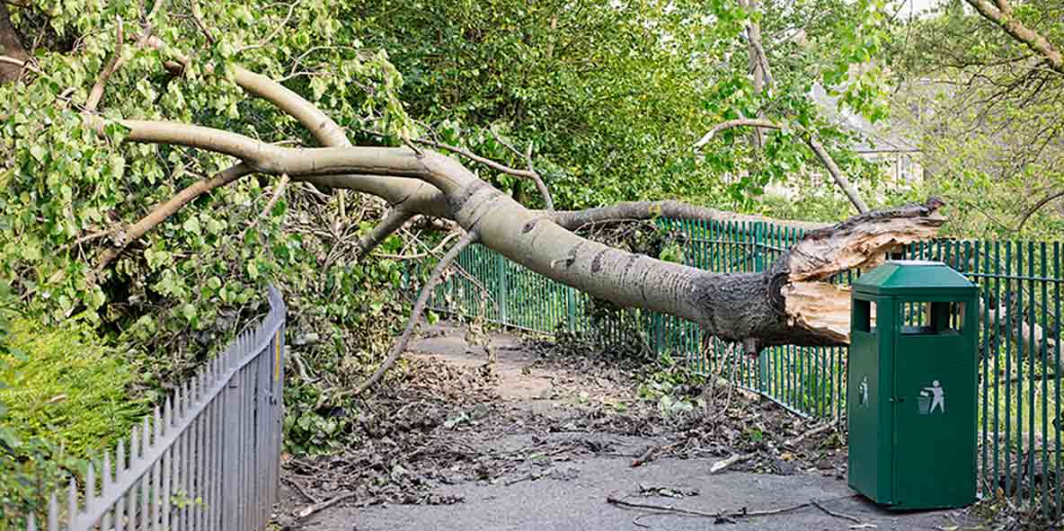 Hero image voor artikel:  Schade voorkomen: tips om je voor te bereiden op storm