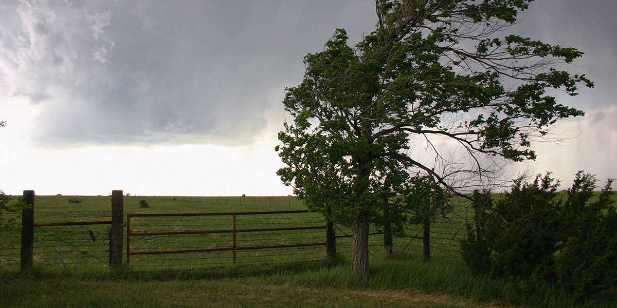 Hero image voor artikel:  Stormschade aan je schutting, wat nu?